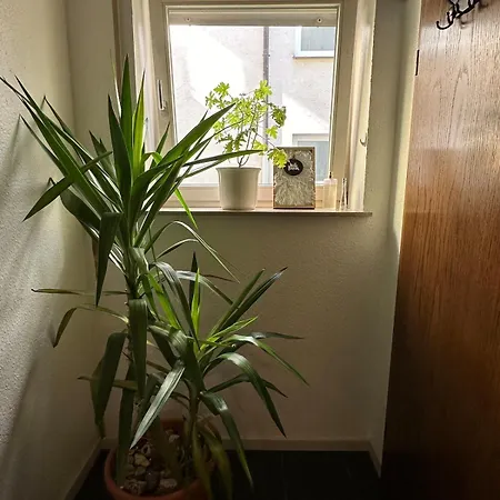 2-room Domicile In Wuerzburg's Trendy District Würzburg